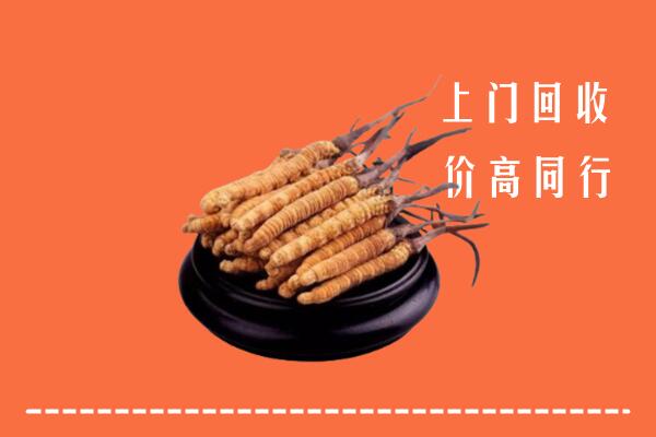 高价求购：临沂市沂南县回收散虫草