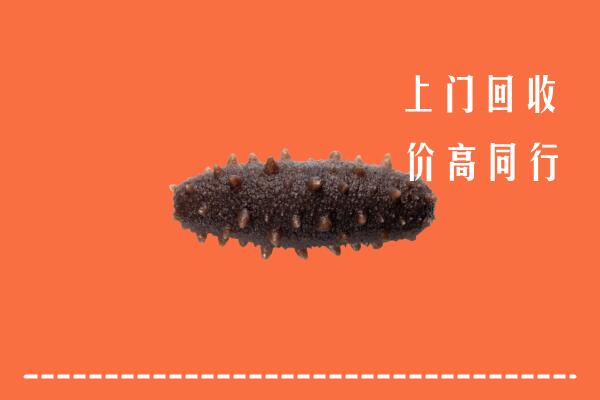 高价求购：临沂市沂南县回收海参