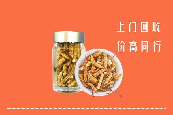 临沂市沂南县回收冬虫夏草